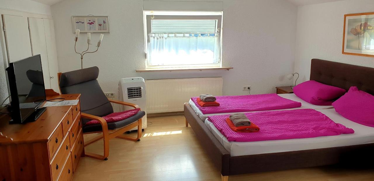 Apartmenthaus "Zum Lowen" Heidelberg - Ziegelhausen Ngoại thất bức ảnh