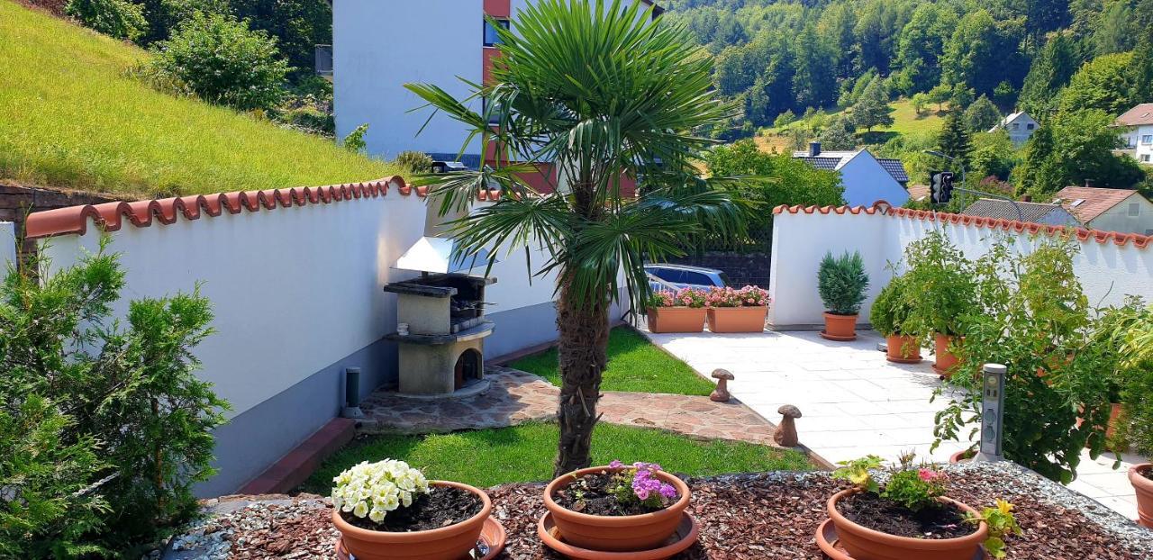 Apartmenthaus "Zum Lowen" Heidelberg - Ziegelhausen Ngoại thất bức ảnh