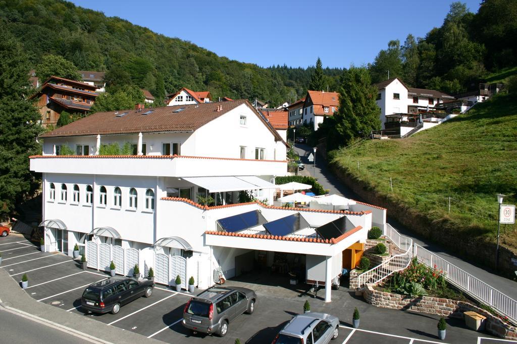 Apartmenthaus "Zum Lowen" Heidelberg - Ziegelhausen Ngoại thất bức ảnh