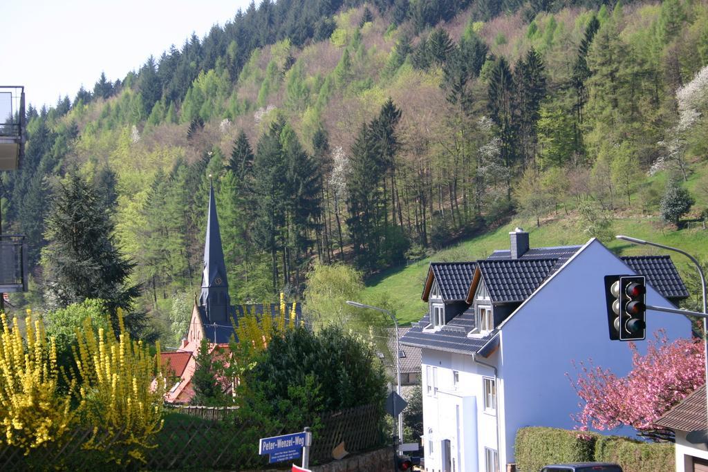 Apartmenthaus "Zum Lowen" Heidelberg - Ziegelhausen Ngoại thất bức ảnh