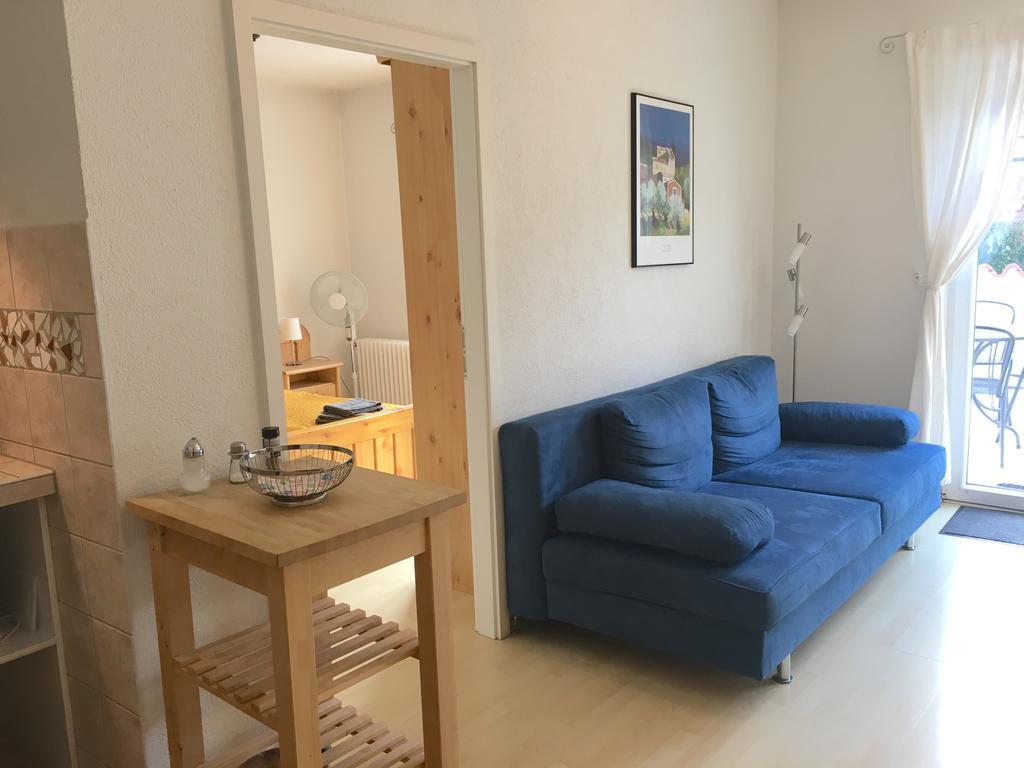 Apartmenthaus "Zum Lowen" Heidelberg - Ziegelhausen Ngoại thất bức ảnh