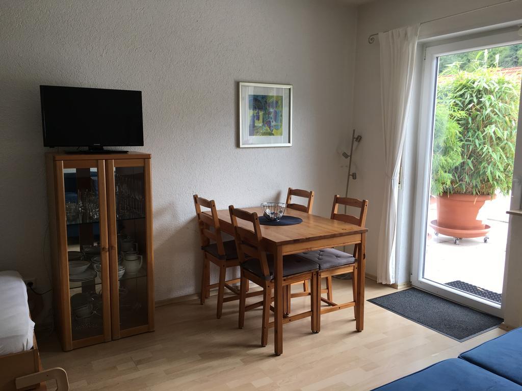 Apartmenthaus "Zum Lowen" Heidelberg - Ziegelhausen Ngoại thất bức ảnh