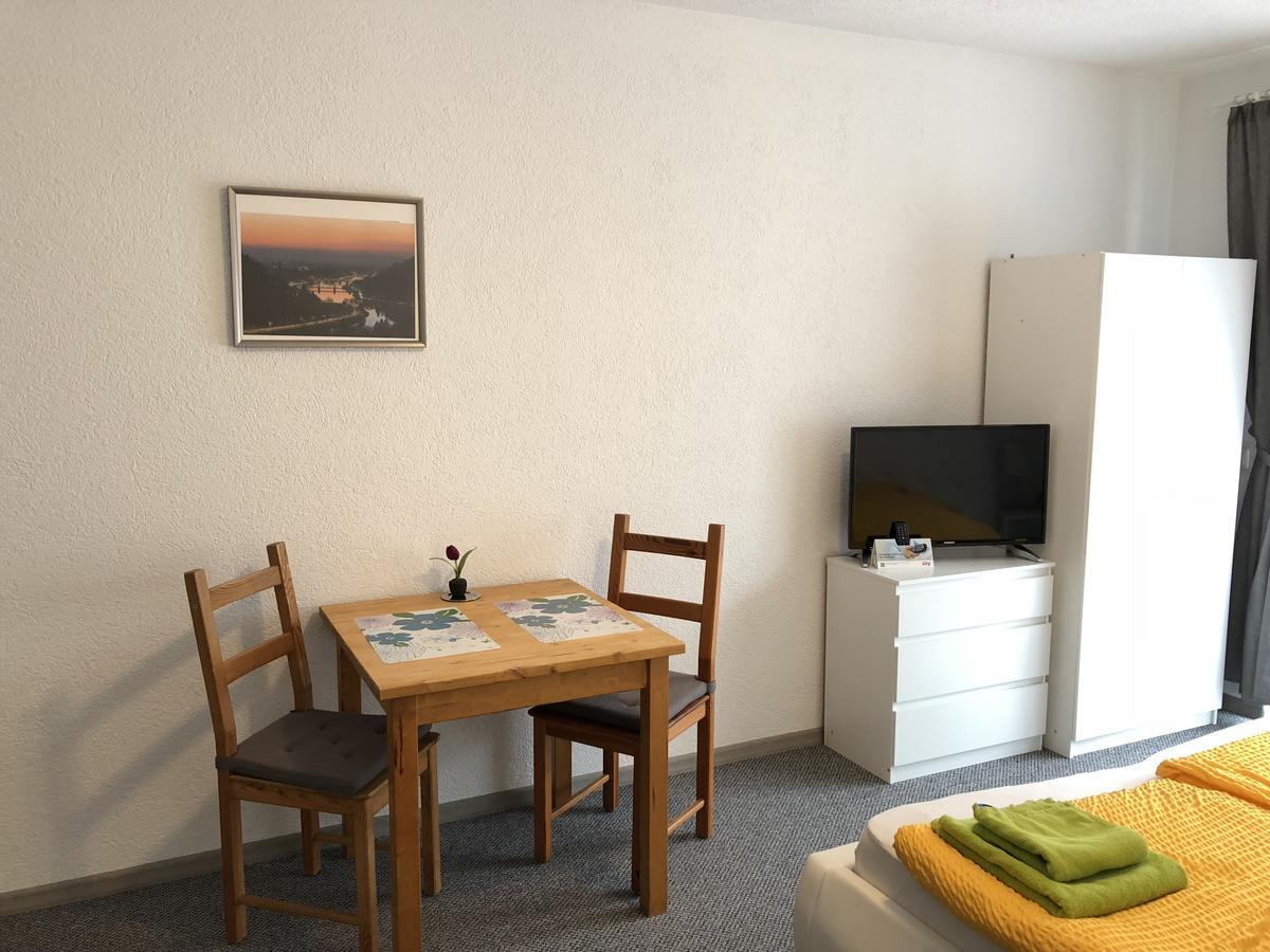 Apartmenthaus "Zum Lowen" Heidelberg - Ziegelhausen Ngoại thất bức ảnh