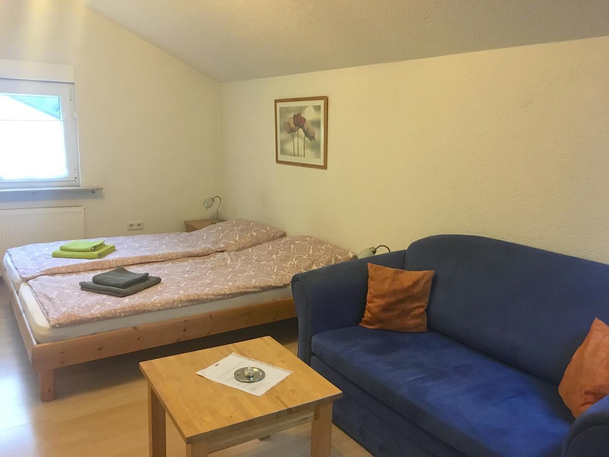 Apartmenthaus "Zum Lowen" Heidelberg - Ziegelhausen Ngoại thất bức ảnh